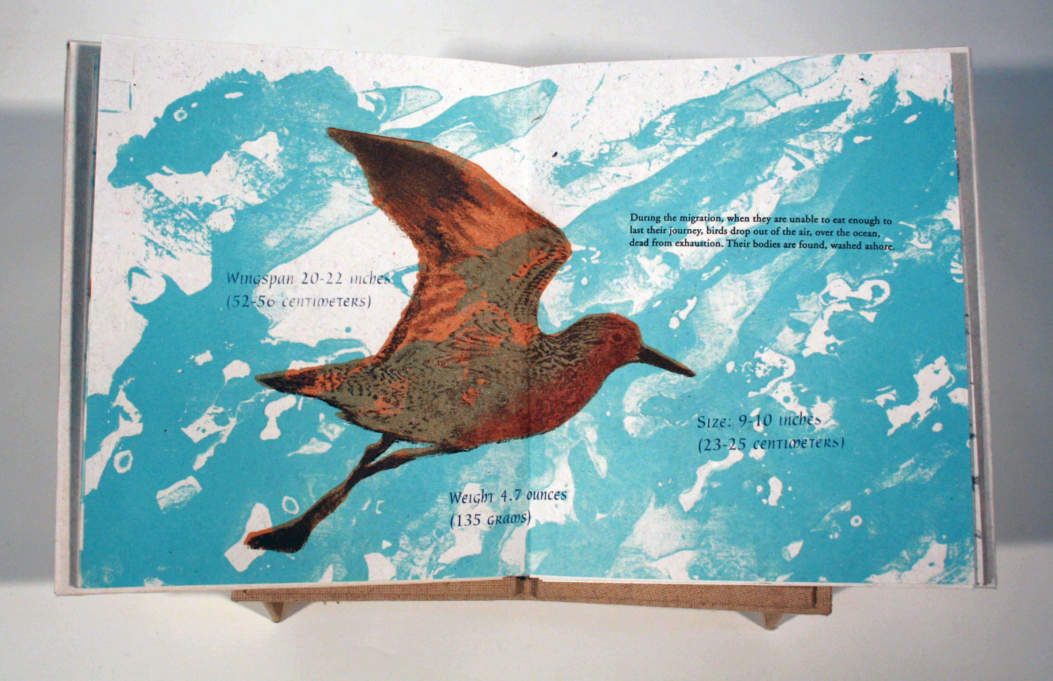 Metropolitan Museum of Art Acquisition