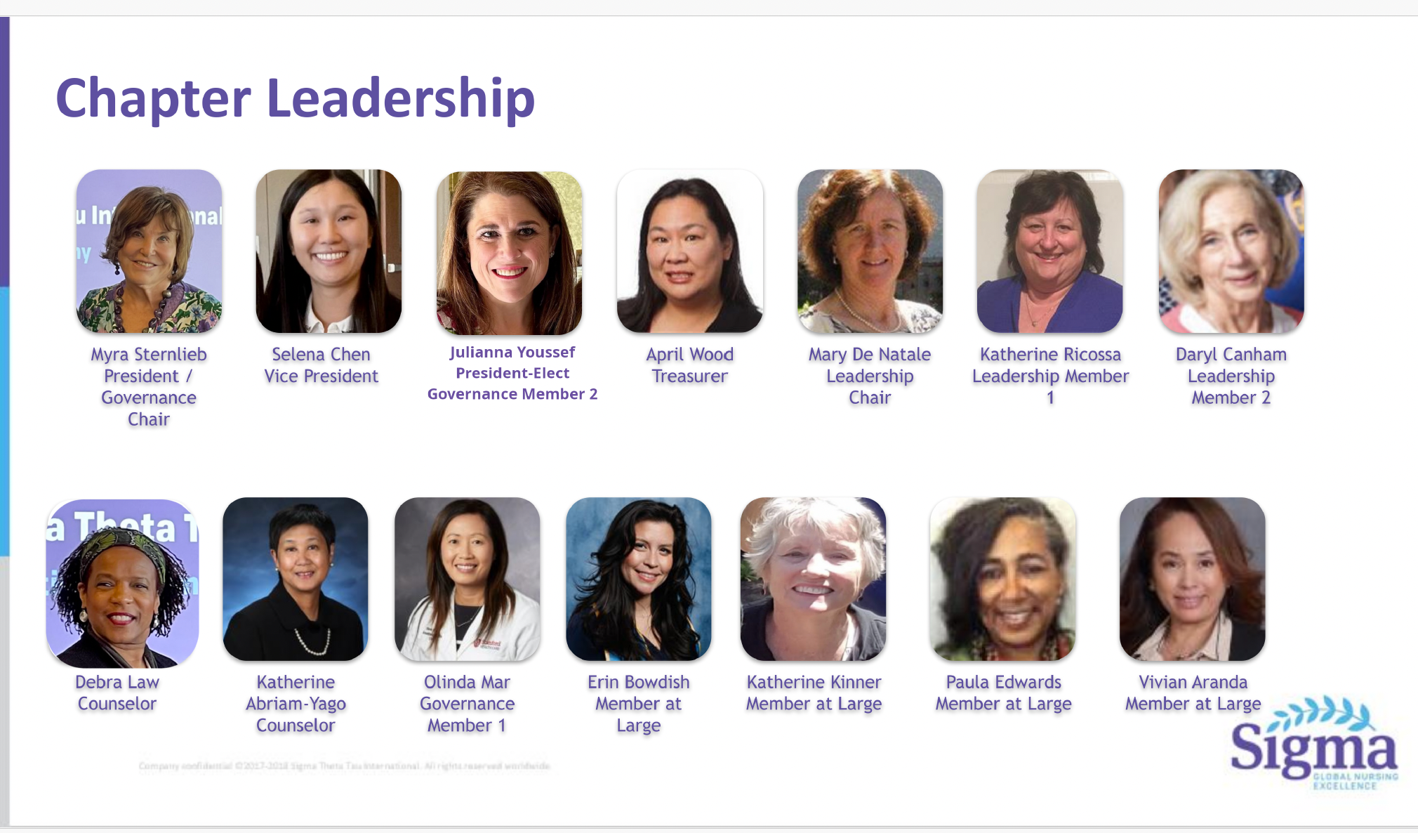 Sigma Board Image made up of 14 portraits, depicting the Sigma San Jose Board.