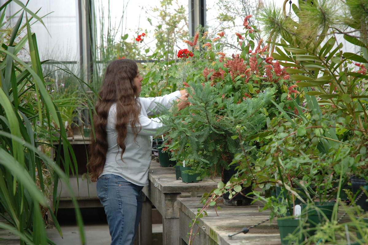 A student in a greenhouse.